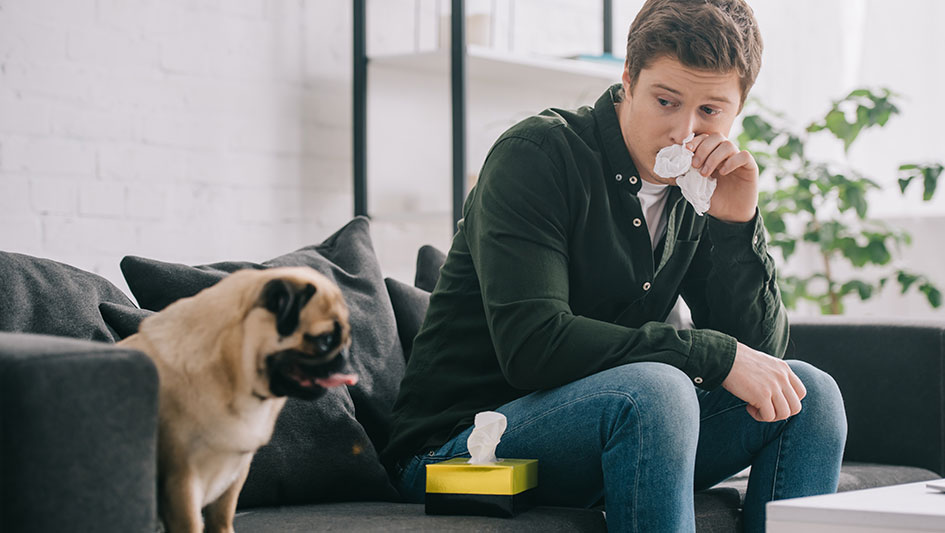 Installing an air purifier is one of the best ways to enhance your residence’s indoor air quality. Discover more about the three smartest solutions. 